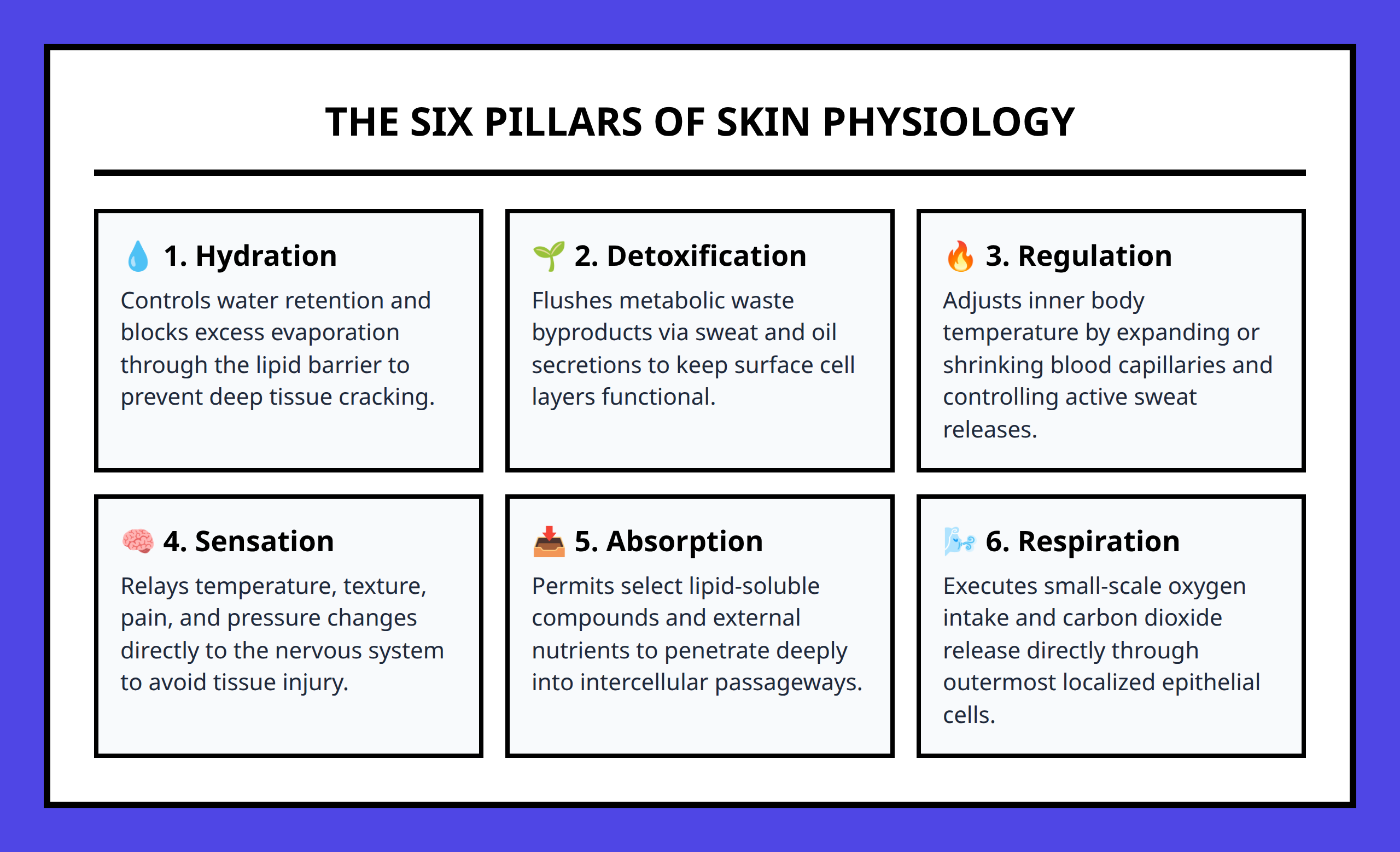 Infographic map outlining the six core biological functions of healthy skin