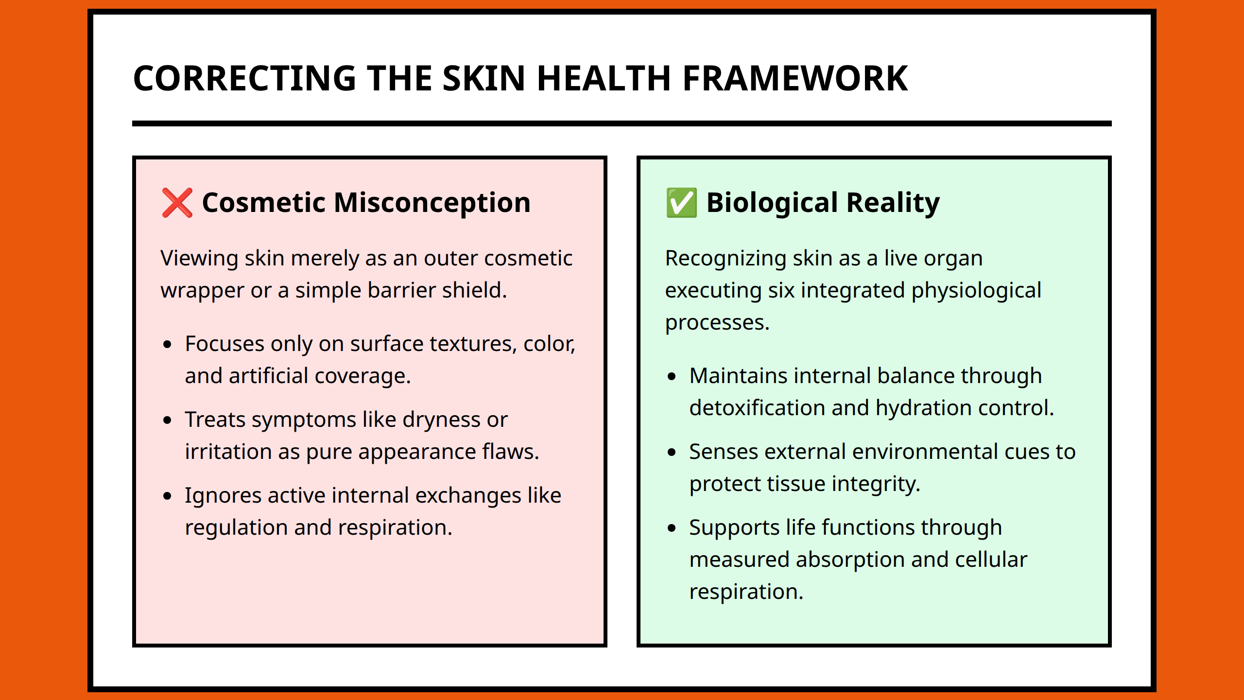 Comparison panel showing shift from cosmetic-only view to biological skin reality